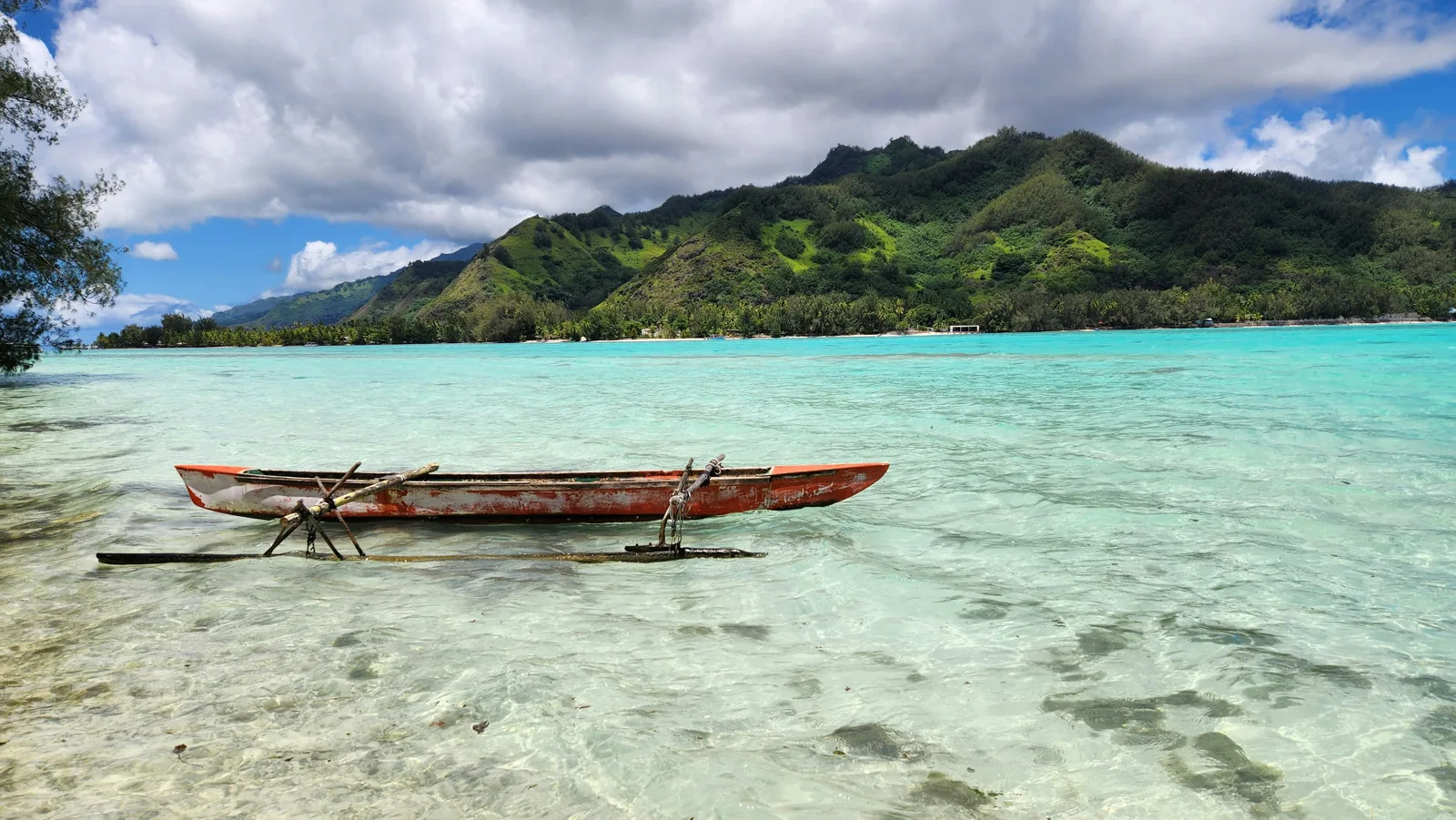 nico smit TgyXuH Qo2s unsplash
