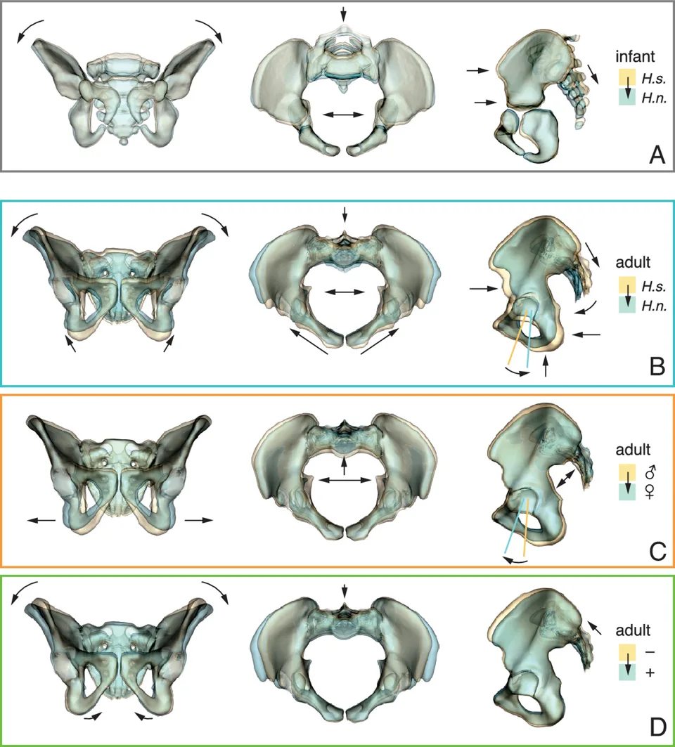 pnas.2535303123fig03