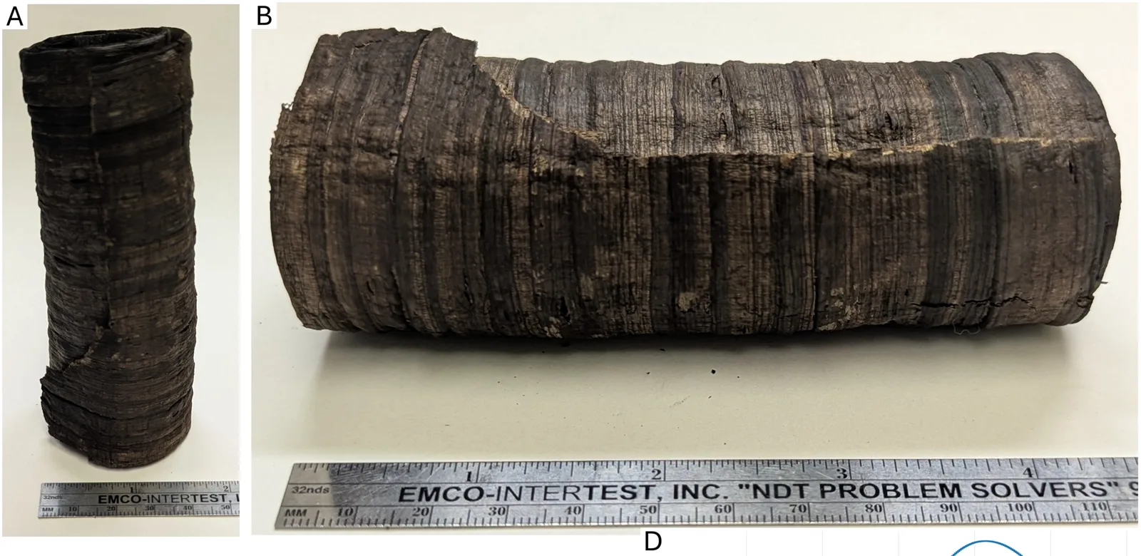 Papyrus scroll baked to a black crisp